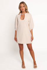 Sidney Mini Dress - Tan Stripe